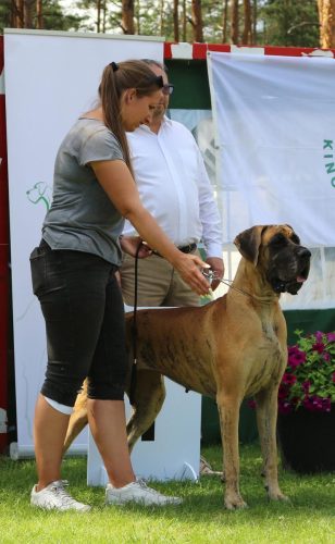 Sznytka z Kuźni Napoleońskiej