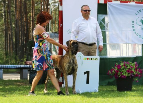 Trawka z Kuźni Napoleońskiej