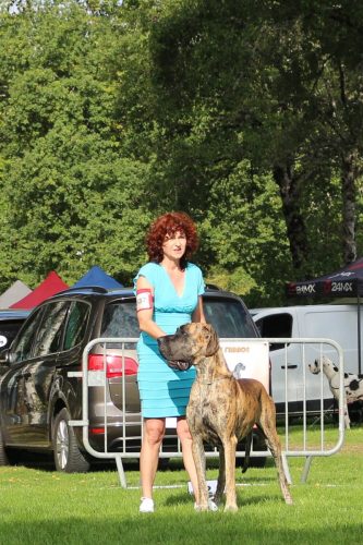 Trawka z Kuźni Napoleońskiej