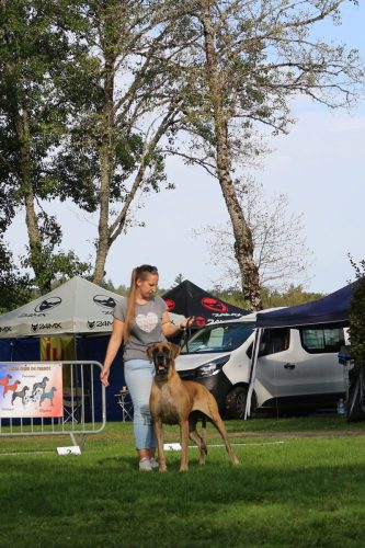 Sznytka z Kuźni Napoleońskiej