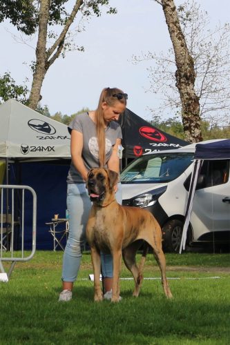 Sznytka z Kuźni Napoleońskiej