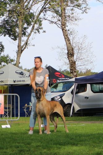 Sznytka z Kuźni Napoleońskiej