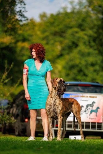 Trawka z Kuźni Napoleońskiej