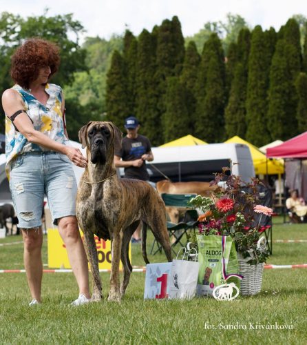 Trawka z Kuźni Napoleońskiej