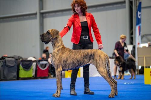 Trawka z Kuźni Napoleońskiej