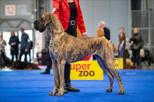 Trawka z Kuźni Napoleońskiej