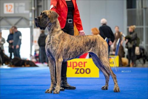 Trawka z Kuźni Napoleońskiej